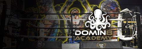 Welcome to Domin8 Academy